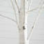 7ft. Pre-Lit Artificial White Birch Tree with 400 Warm White LED Lights