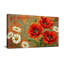 Plantes et fleurs - motif floral coquelicot et marguerite-927572622