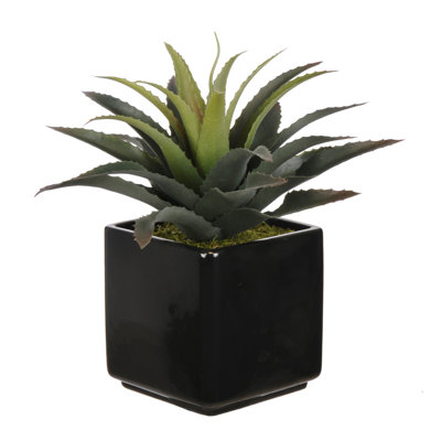 Succulent aloe artificiel 6" en pot