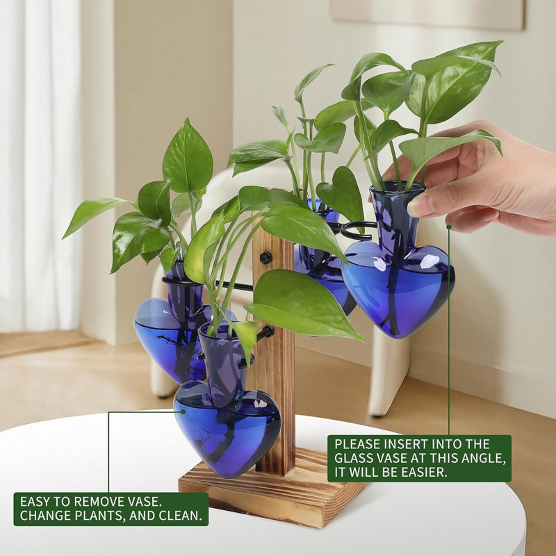 Ensemble de plantes terrarium pour plantes d'intérieur, Vert