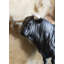 Spanish Bull Figurine