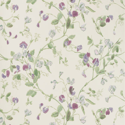 Anthology Sweet Pea Floral Wallpaper Roll