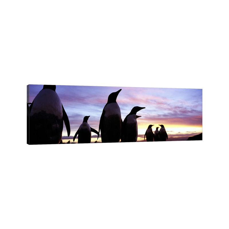 Silhouette Of A Group Of Gentoo Penguins, Falkland Islands (Pygoscelis Papua) by Panoramic Images - Wrapped Canvas Panoramic Print