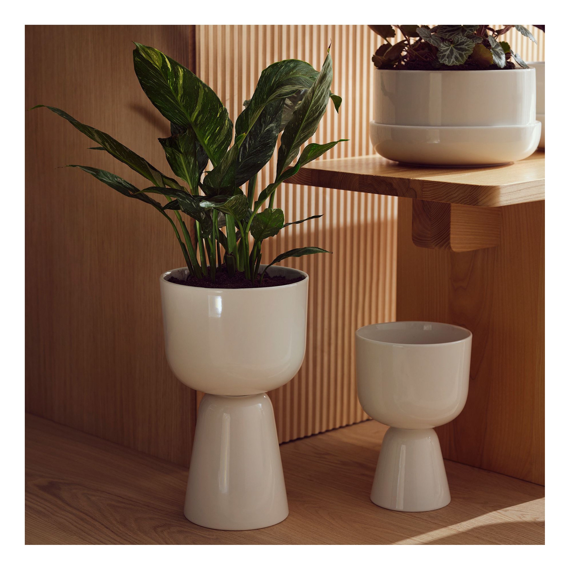 Juba Handmade Ceramic Pot Planter, 12.48" H x 7.52" W x 7.52" D, White