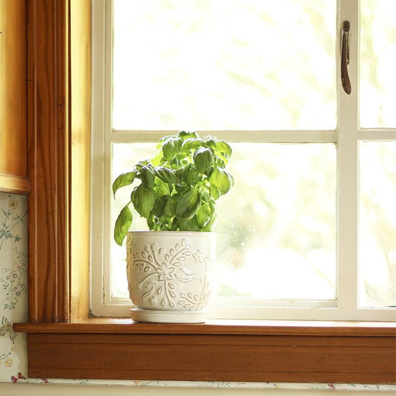 8" Venice Planter, 2-pack