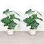 30 po Alocasia artificielle avec pot blanc (ensemble de 2), plante artificielle tropicale réaliste pour la décoration intérieure, le salon, la chambre à coucher et le bureau