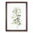 Walnut Framed selected