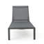 Chaise longue, ensemble de 2, pour l'extérieur-212411869-212411871