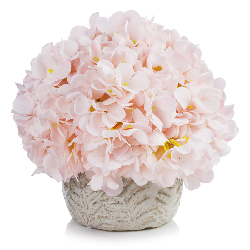 Arrangement floral d'hortensias en pot, Rose