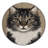 Washable American Wirehair Cats Area Rug-1401086962