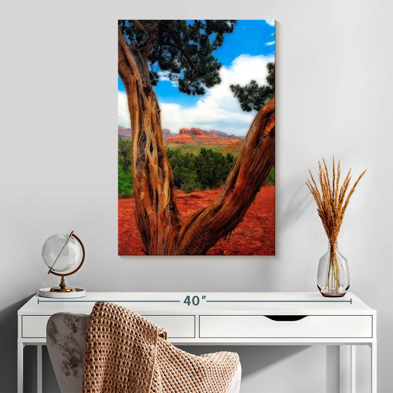 Aime Desert Reds, 30" H x 20" W