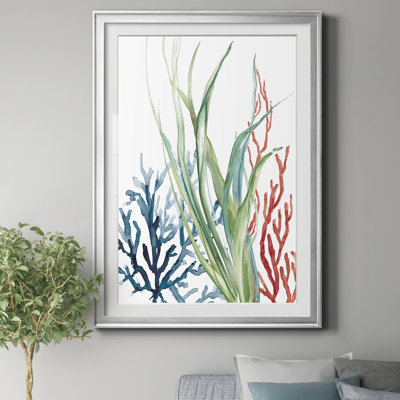 " Ocean Garden II "