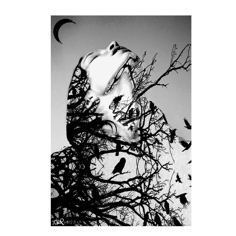 Don't Look Down by Loui Jover - Wrapped Canvas Print, 66.04 cm H x 45.72 cm W x 1.91 cm D