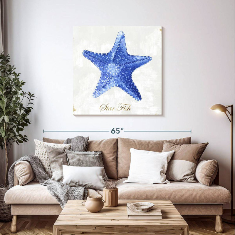 Étoile de mer bleue Brampt