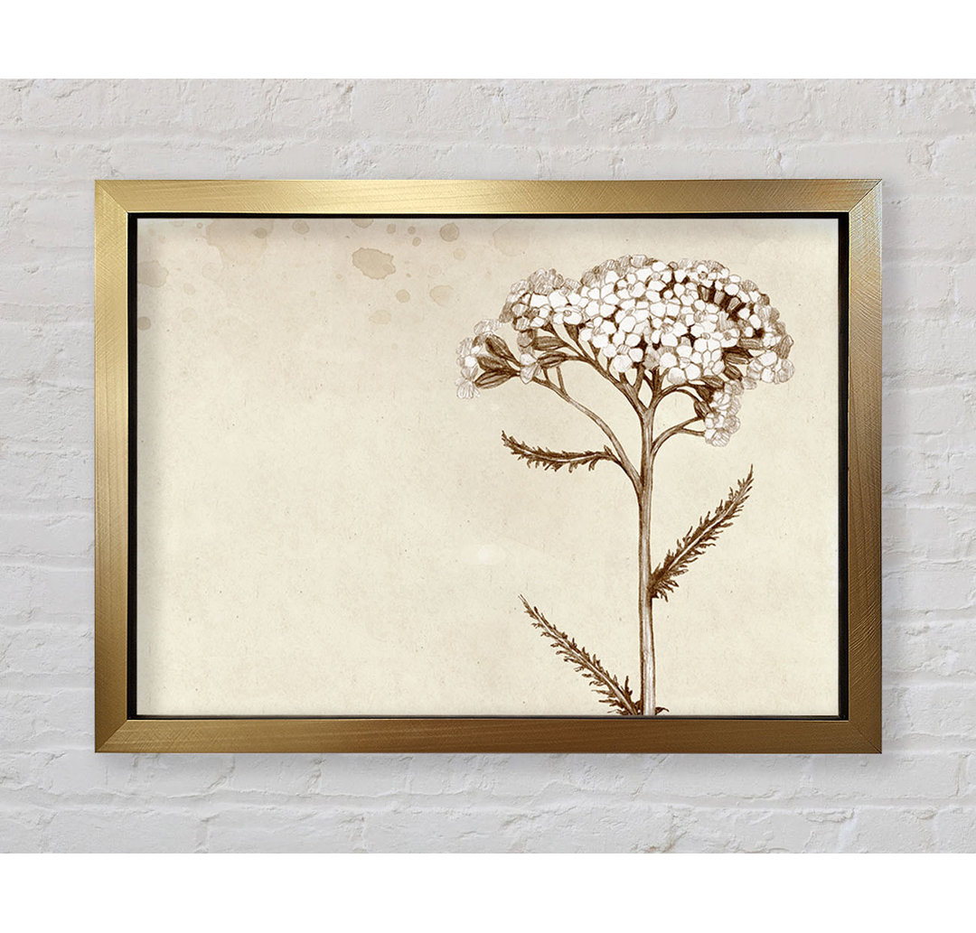 Floral Beauty Sepia - Einzelner Bilderrahmen Kunstdrucke