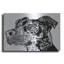«Bird Dog Scratch» par Dean Russo-441606412