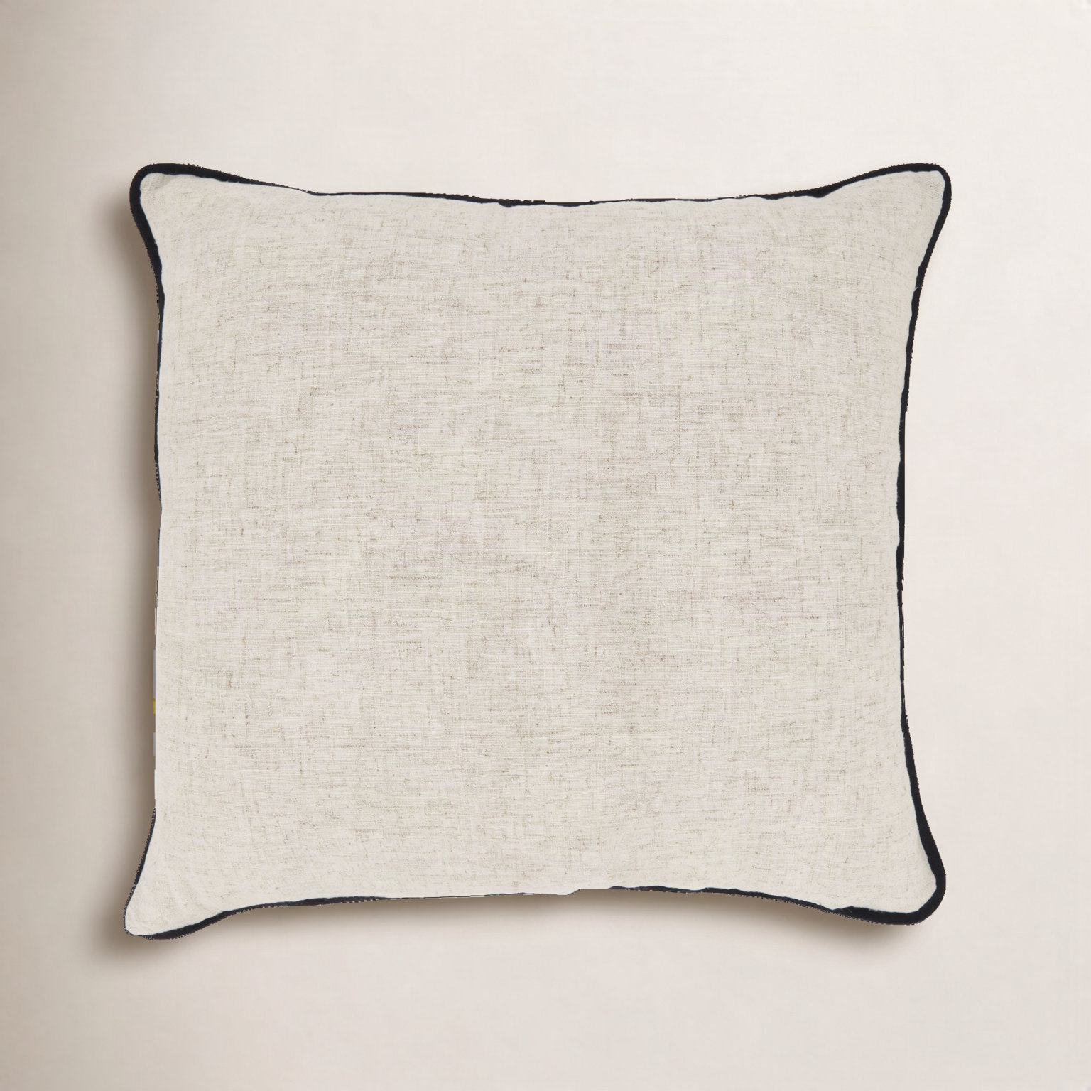 Toscana Collection Throw Pillow, Black, Down, Square 20"