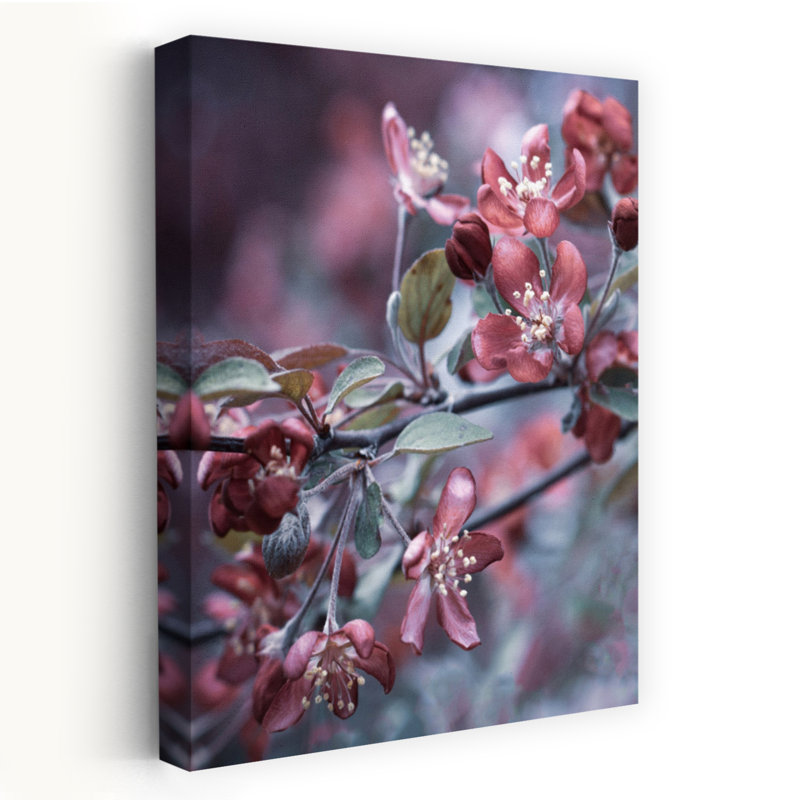 «Dreamy Dark Romance Spring Floral Blossoms Dreamy Elegant Organic Flower Nature», art mural, H 18 po x l 12 po