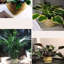 Panier 2 pièces Bay Isle Home ™ Zetilla Seagrass