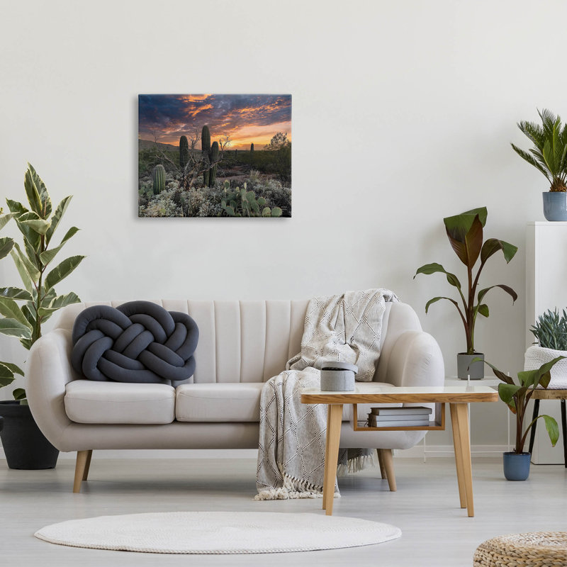 Cactus aride du désert - Photographie sur toile tendue, H 24 po x l 30 po x P 1,5 po