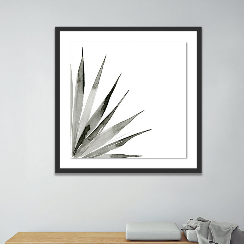Agave II Print by Jess Engle, Black, 40" H x 40" W x 2.5" D