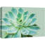 "Plante grasse avec goutte d'eau" sur toile-99543661
