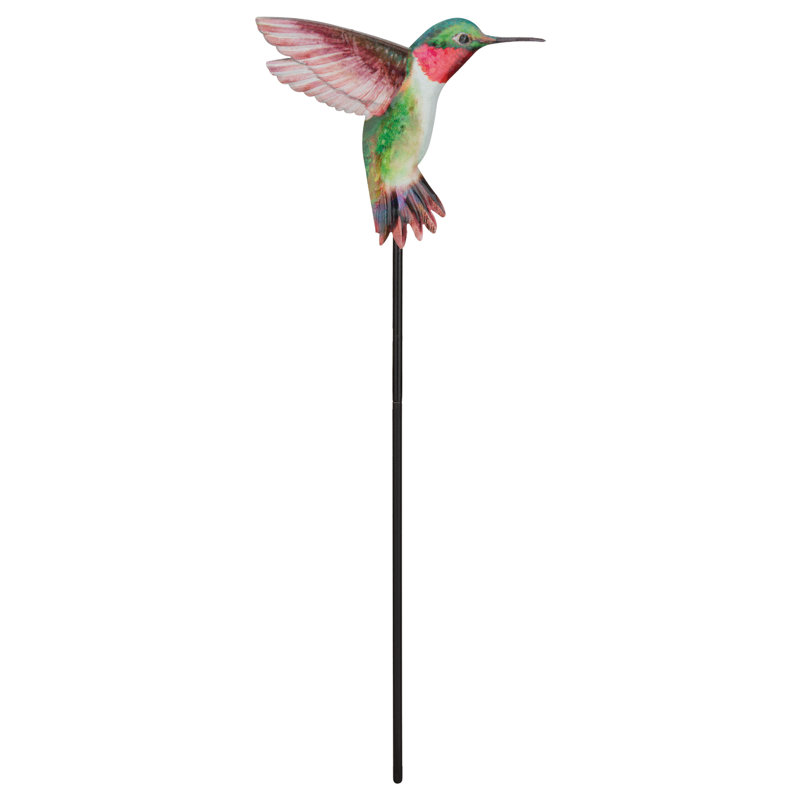 Ensemble de 2 plantes à colibri