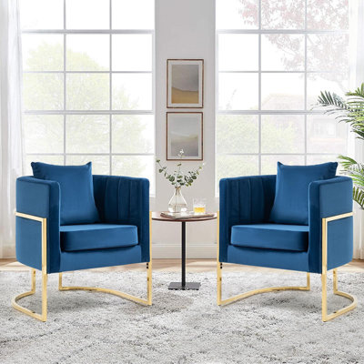 Zianah Velvet Barrel Chair