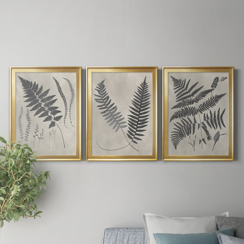 «Vintage Fern Study II», ensemble de 3 reproductions d'art sur toile, H 26,5 po x l 109,5 po x P 1,5 po, Encadrement doré
