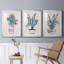 Marine Plant Sketches I - ensemble de 3 reproductions de cadres photo-69879276-69879274
