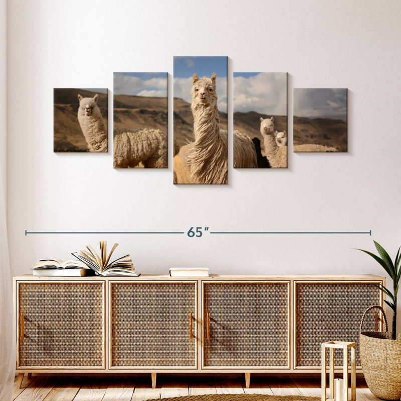 Andes Llamas, H 24 po x l 55 po