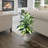 32'' Faux Hosta Plant