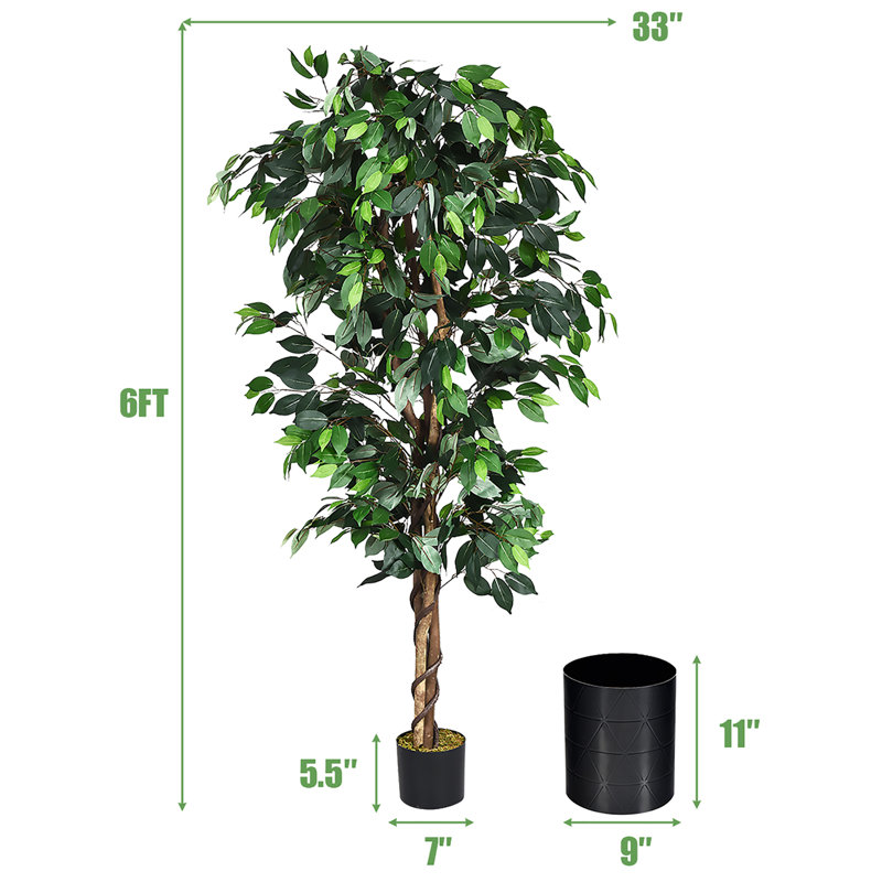 Coffres décoratifs pour bureau en ficus artificiel 6 pi Primrue