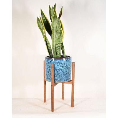 Heitz Ceramic Pot Planter