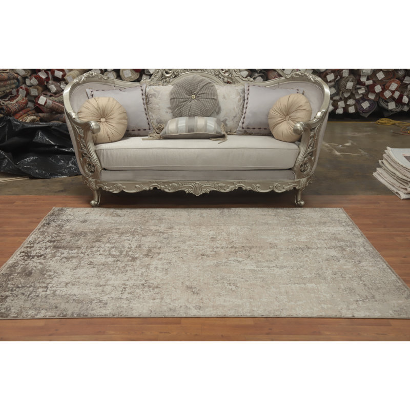 Tapis moderne d'aspect vieilli 5 x 7