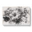 Geranium Flower - Wrapped Canvas-56662738