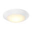 Berivan Flush Mount