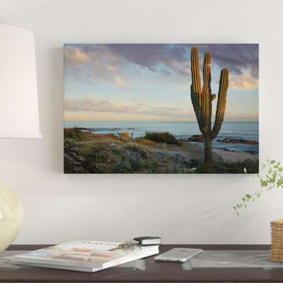 Saguaro Cactus At Beach, Cabo San Lucas, Mexico by Tim Fitzharris - Gallery-Wrapped Canvas Giclée
