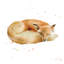 " Sleeping Fox " by Katrina Pete-1485559871-1477321783-1477321777