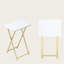 Tray Table