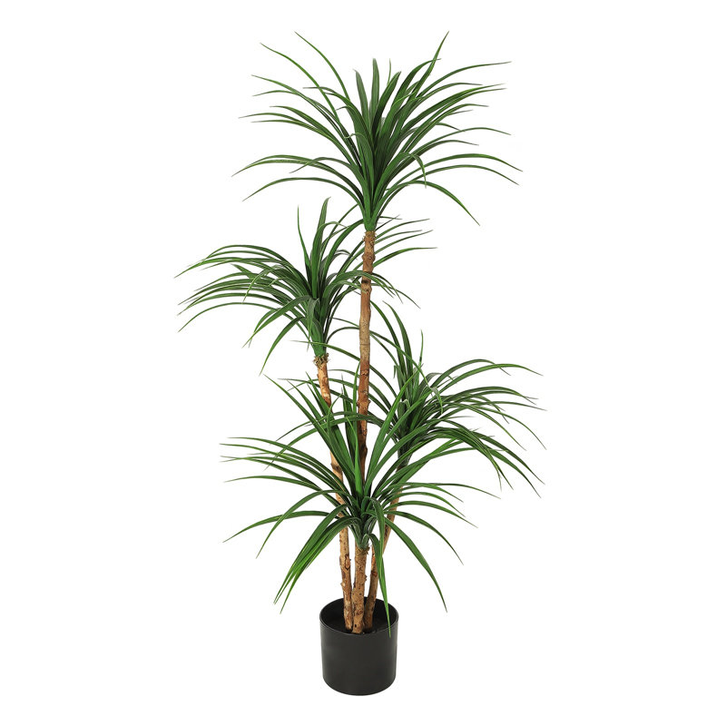 120cm Plant