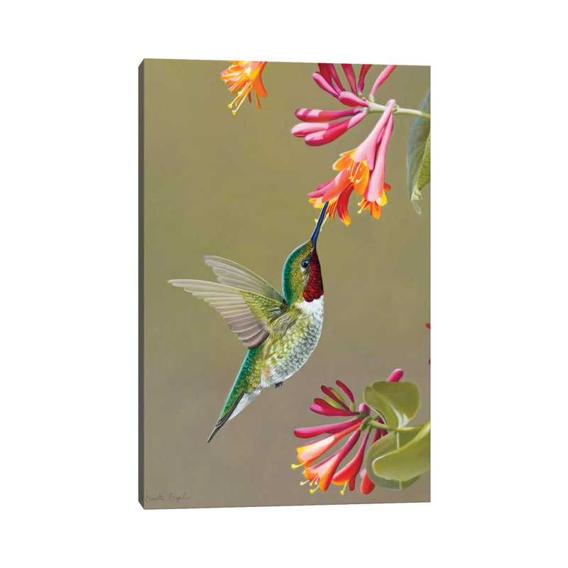 Close Encounter by Camille Engel - Wrapped Canvas Print, 30.48 cm H x 45.72 cm W