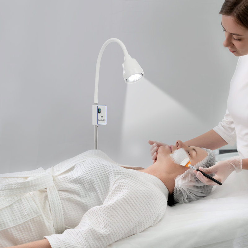 LED Examination Light Adjustable Height Examination Lamp Medical Exam Light for Clinic Gynecology Stomatology Ent Pet Medicine