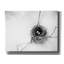 «Nest and Branch IV» par Debra Van Swearingen, art mural sur toile-1540687288