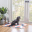 Tapis abstrait lavable intérieur / extérieur Kivett-856349454
