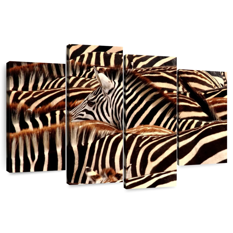 Rayures de zèbre Brampt Serengeti