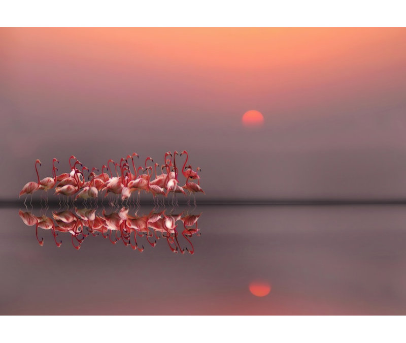 sunset Canvas Print, 76.2 cm H x 50.8 cm W