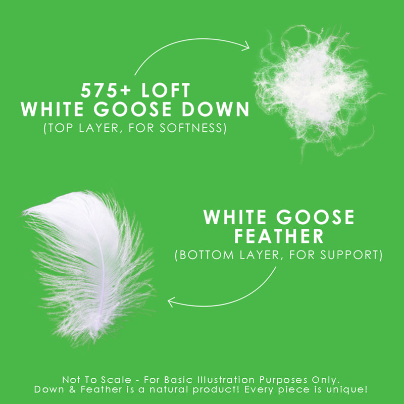 Twin White Down Featherbed Mattress Topper