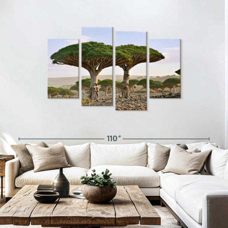 Alvord deux sapins Socotra, H 48 po x l 75 po