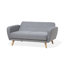 Cheleb 2 Seater Sleeper-35580488